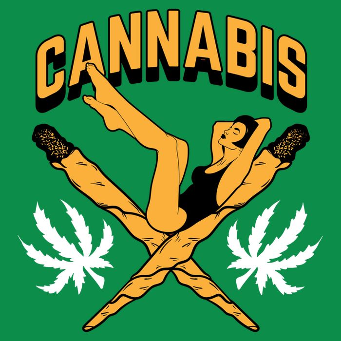 Cannabis Marijuana Joint Hammock Women's V-Neck T-Shirt