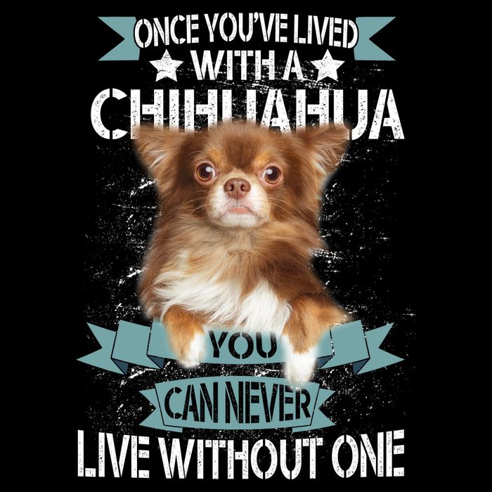 Can't Live Without A Chihuahua Sweatshirt