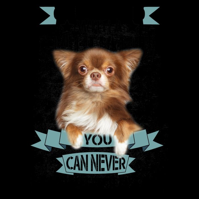 Can't Live Without A Chihuahua 16oz Travel Tumbler