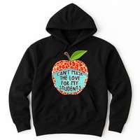 Can't Mask The Love For My Students Hoodie