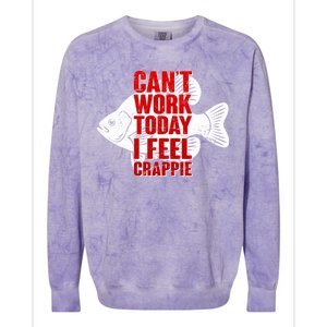 Can't Work Today I Feel Crappie Colorblast Crewneck Sweatshirt