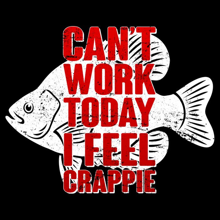 Can't Work Today I Feel Crappie Flexfit Unipanel Trucker Cap