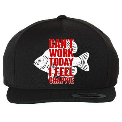 Can't Work Today I Feel Crappie Wool Snapback Cap