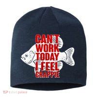 Can't Work Today I Feel Crappie Sustainable Beanie