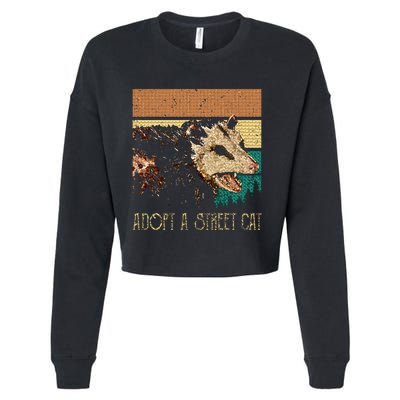 Classic Art Opossums Vaporware Adopt A S.T.R.E.E.T Cat Cropped Pullover Crew