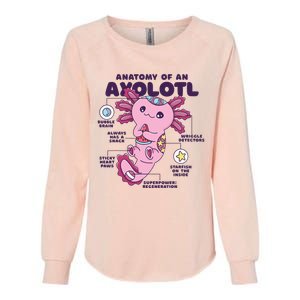 Cute Anatomy Of An Axolotl Axolotls Axolotl Lovers Gift Womens California Wash Sweatshirt