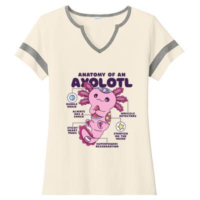 Cute Anatomy Of An Axolotl Axolotls Axolotl Lovers Gift Ladies Halftime Notch Neck Tee