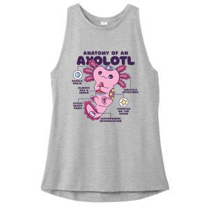 Cute Anatomy Of An Axolotl Axolotls Axolotl Lovers Gift Ladies PosiCharge Tri-Blend Wicking Tank