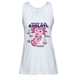 Cute Anatomy Of An Axolotl Axolotls Axolotl Lovers Gift Ladies Essential Flowy Tank