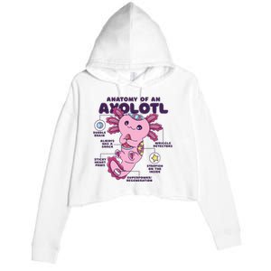 Cute Anatomy Of An Axolotl Axolotls Axolotl Lovers Gift Crop Fleece Hoodie