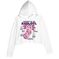 Cute Anatomy Of An Axolotl Axolotls Axolotl Lovers Gift Crop Fleece Hoodie