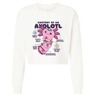 Cute Anatomy Of An Axolotl Axolotls Axolotl Lovers Gift Cropped Pullover Crew