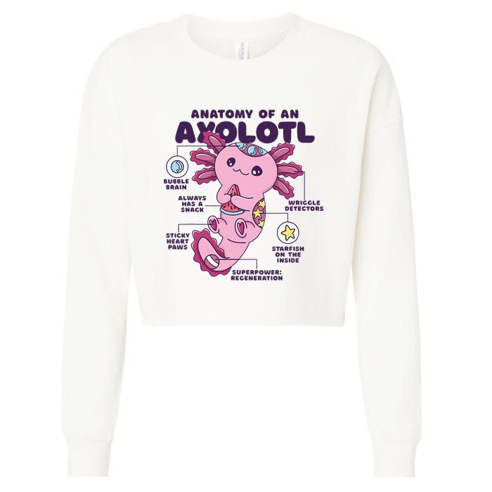 Cute Anatomy Of An Axolotl Axolotls Axolotl Lovers Gift Cropped Pullover Crew