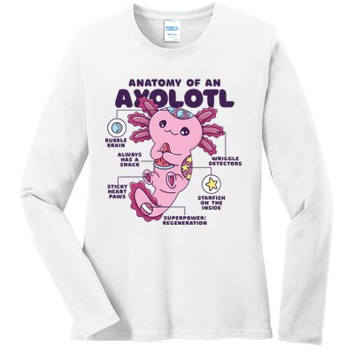 Cute Anatomy Of An Axolotl Axolotls Axolotl Lovers Gift Ladies Long Sleeve Shirt