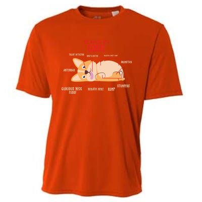 Corgi: Anatomy Of A Corgi Funny Dog Owner Gift Cooling Performance Crew T-Shirt