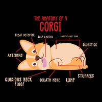 Corgi: Anatomy Of A Corgi Funny Dog Owner Gift Bucket Hat