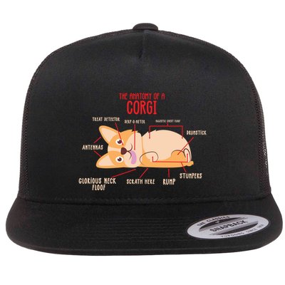 Corgi: Anatomy Of A Corgi Funny Dog Owner Gift Flatbill Hat
