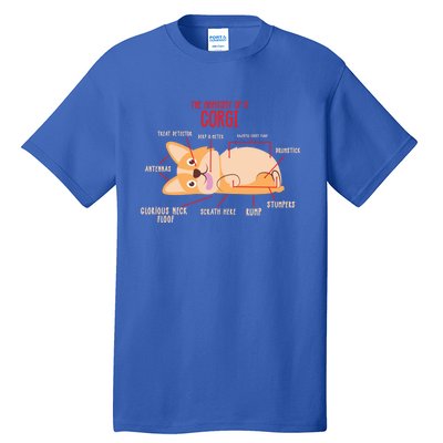 Corgi: Anatomy Of A Corgi Funny Dog Owner Gift Tall T-Shirt