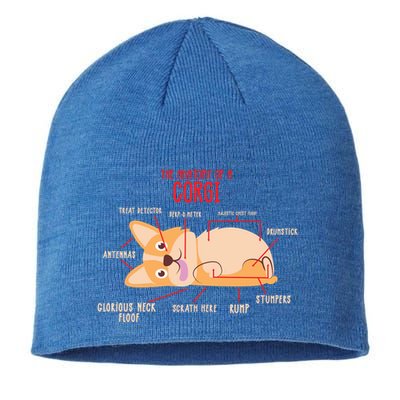 Corgi: Anatomy Of A Corgi Funny Dog Owner Gift Sustainable Beanie