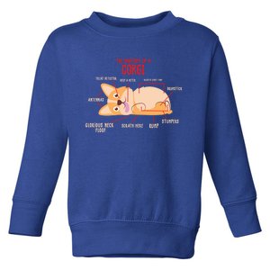 Corgi: Anatomy Of A Corgi Funny Dog Owner Gift Toddler Sweatshirt