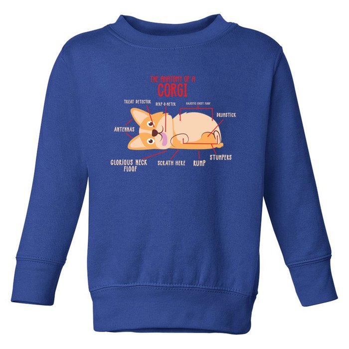 Corgi: Anatomy Of A Corgi Funny Dog Owner Gift Toddler Sweatshirt