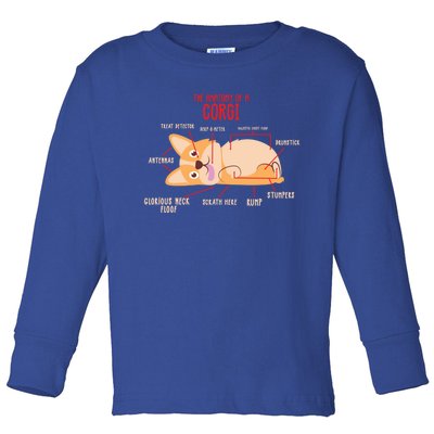 Corgi: Anatomy Of A Corgi Funny Dog Owner Gift Toddler Long Sleeve Shirt