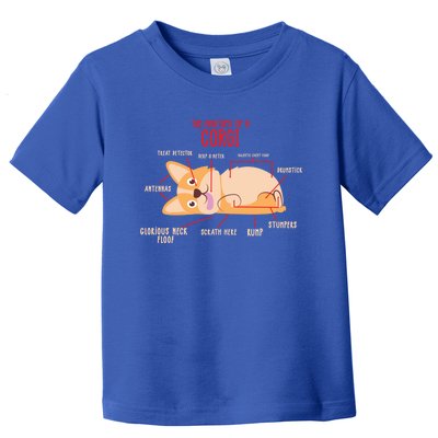 Corgi: Anatomy Of A Corgi Funny Dog Owner Gift Toddler T-Shirt