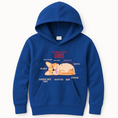 Corgi: Anatomy Of A Corgi Funny Dog Owner Gift Kids Hoodie