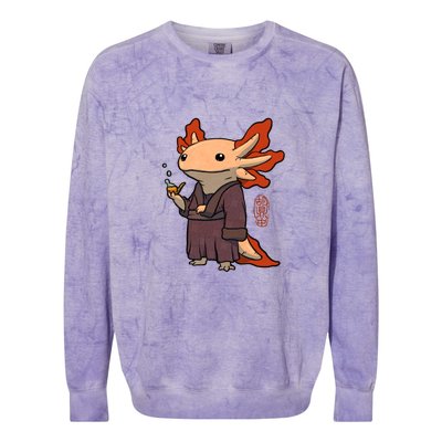 Cute Axolotl Philosopher Colorblast Crewneck Sweatshirt