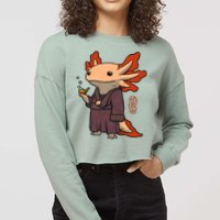 Cute Axolotl Philosopher Cropped Pullover Crew