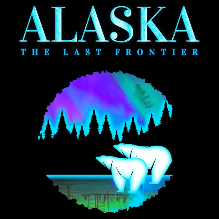 Cool Alaska Pair of Polar Bear with Aurora Snow Scene Button