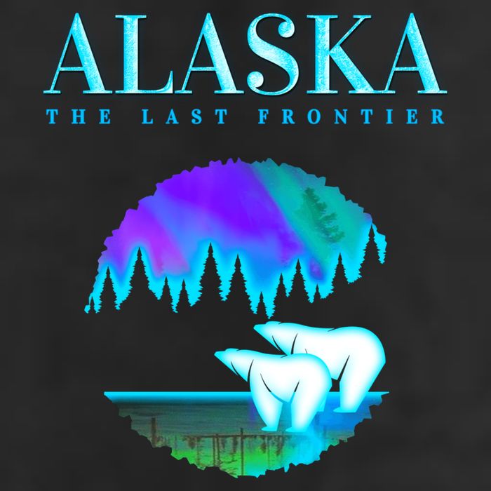 Cool Alaska Pair of Polar Bear with Aurora Snow Scene Hat