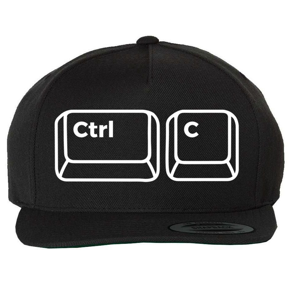 Copy And Paste Dad Matching Father Daughter Son S Cool Gift Wool Snapback Cap
