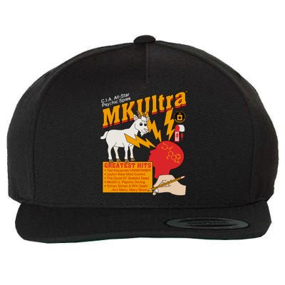 Cia Allstar Psychic Spies Mkultra Wool Snapback Cap