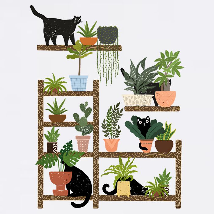 Cats And Plants Tall T-Shirt