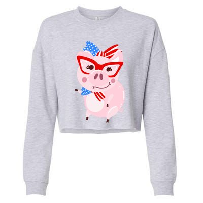 Cool American Pig Funny Pet Piggy United States Flag Gift Cropped Pullover Crew