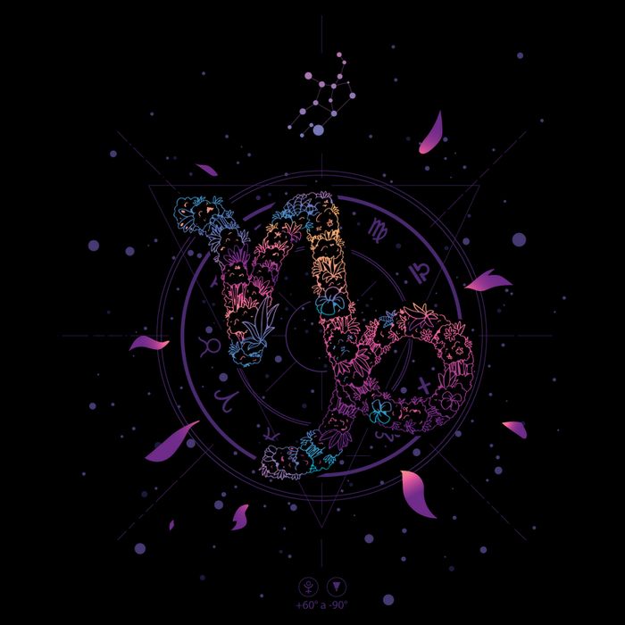Capricorn Floral Zodiac T-Shirt