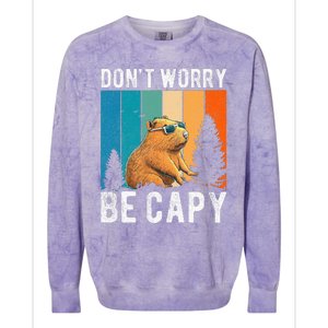 Capybara Animal Rodent Capybara Dont Be Worry Be Capy Colorblast Crewneck Sweatshirt