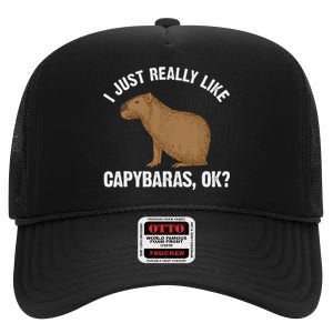 Capybara Art Rodent Capybara Lover High Crown Mesh Back Trucker Hat