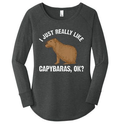 Capybara Art Rodent Capybara Lover Women's Perfect Tri Tunic Long Sleeve Shirt