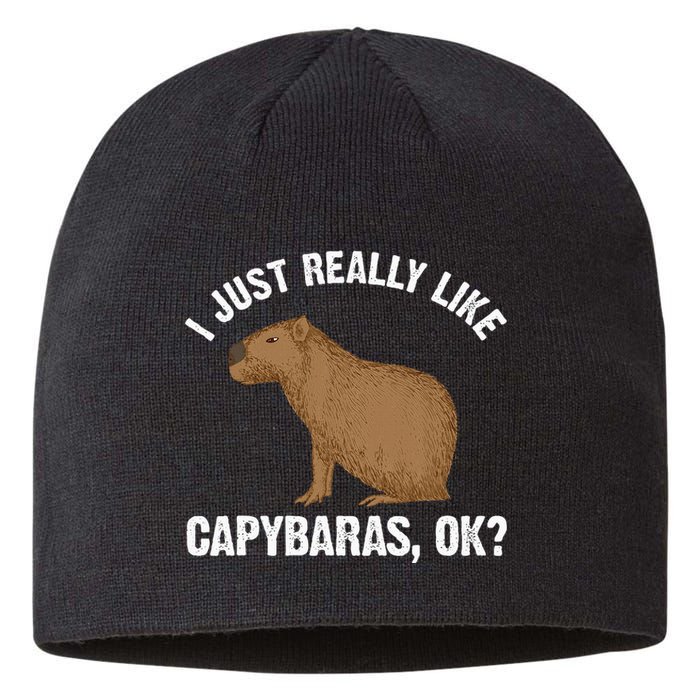 Capybara Art Rodent Capybara Lover Sustainable Beanie