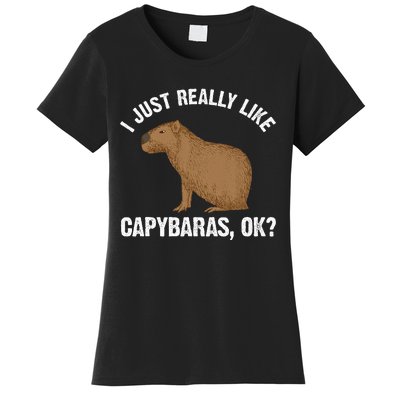 Capybara Art Rodent Capybara Lover Women's T-Shirt