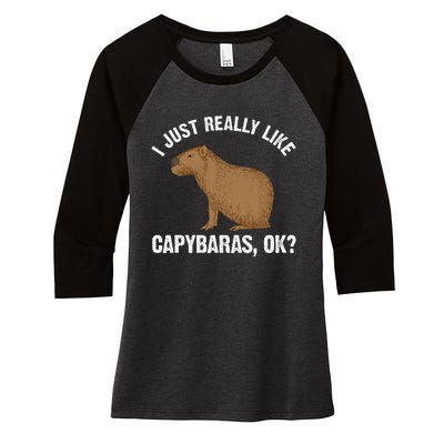 Capybara Art Rodent Capybara Lover Women's Tri-Blend 3/4-Sleeve Raglan Shirt