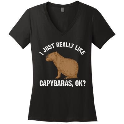 Capybara Art Rodent Capybara Lover Women's V-Neck T-Shirt