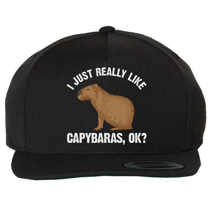 Capybara Art Rodent Capybara Lover Wool Snapback Cap