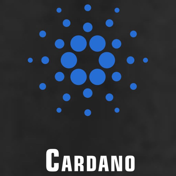 Cardano Classic 25L Jumbo Tote