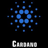 Cardano Classic Cropped Pullover Crew