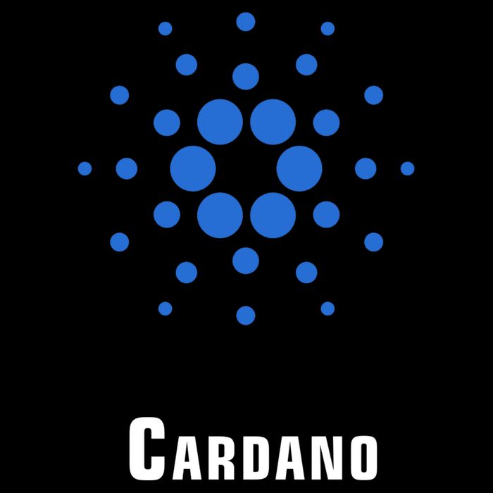 Cardano Classic Cropped Pullover Crew