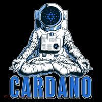 Cardano Mediating Yoga Astronaut Crypto Currency Poster
