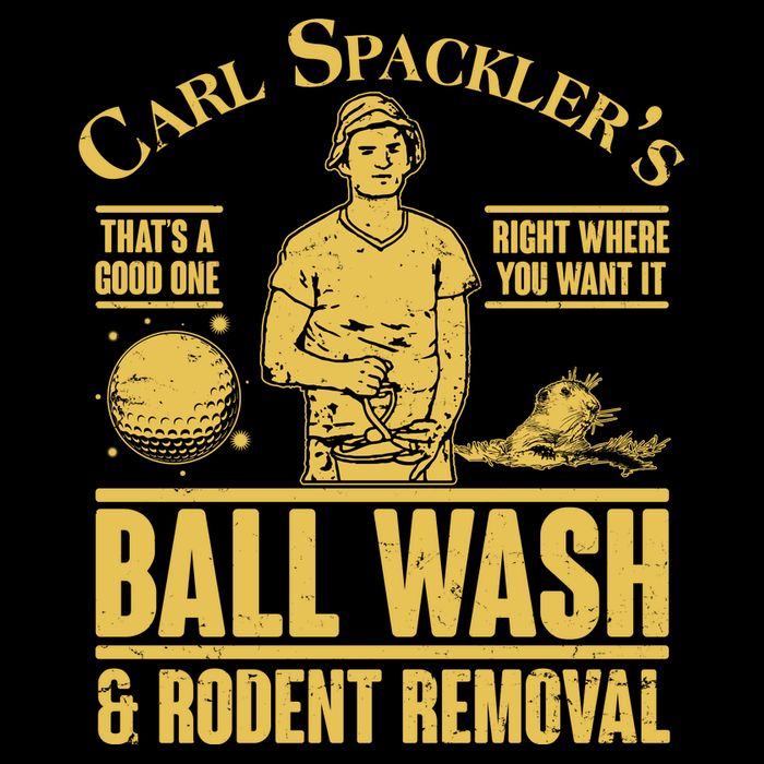 Carl's Spackler's Ball Wash And Rodent Removal  Kids Hoodie